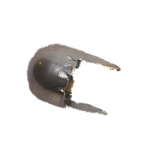 Närbild på ett metallavståndsstift med 2 ben för biodling, förpackning om ca 1000 st.